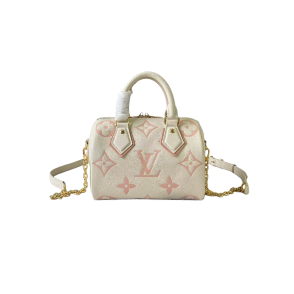 LOUIS VUITTON speedy BAG