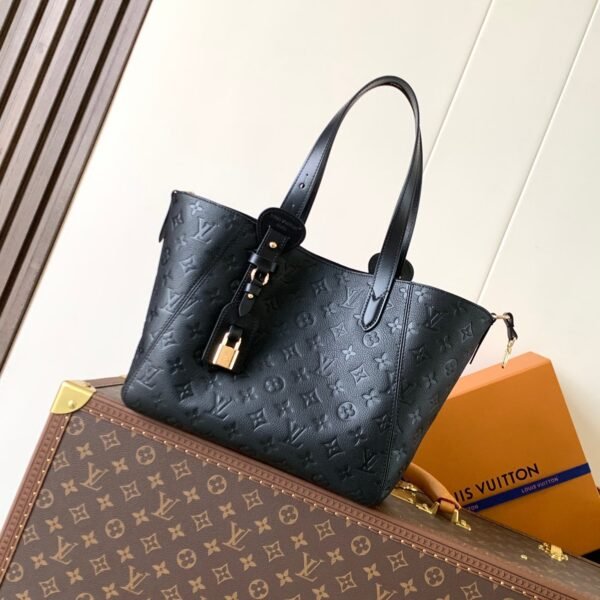 LOUIS VUITTON All In One Bag
