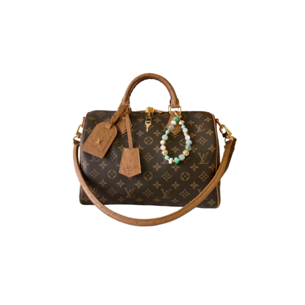 LOUIS VUITTON LV Speedy Soft 30 Boho Bag